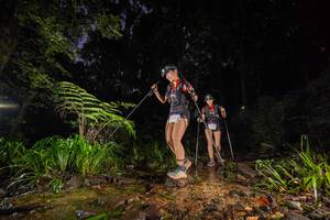 BIB: 
                            <button type="button" onclick="openModal(19245990)" class="btn btn-primary btn-sm float-right btn-popup" data-toggle="modal" data-target=".modal-high-quality">
                        <i class="fas fa-shopping-cart"></i> Add to Cart
                    </button>
                                            <button type="button" onclick="isThisMe(19245990, true)" class="btn btn-success btn-sm float-right btn-popup btn-isme hidden" data-toggle="tooltip" data-placement="bottom" title="นี่คือรูปของคุณใช่ไหม คลิกที่นี่เพื่อเอาเข้าอัลบั้ม">
                        <i class="fas fa-plus"></i> Add to album
                    </button>
                    <button type="button" onclick="isThisMe(19245990, false)" class="btn btn-warning btn-sm float-right btn-popup btn-isnotme hidden">
                        <i class="fas fa-ban"></i> Remove from album
                    </button>